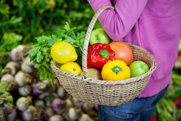 Woman holding fruits and vegetables in basket