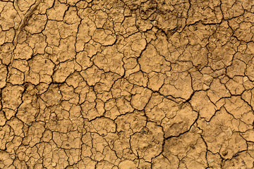 dry brown cracked soil - texture of ground