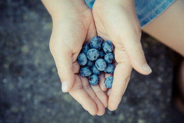 child with fresh bio blueberry