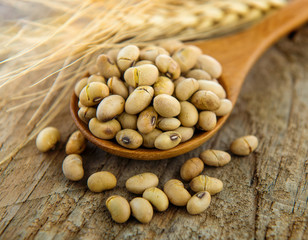 Soy beans in wood spoon