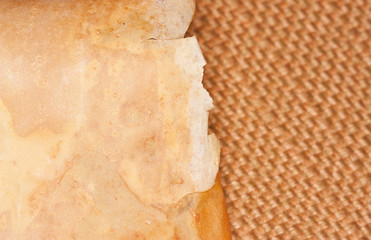 The bark of a pine on textiles.