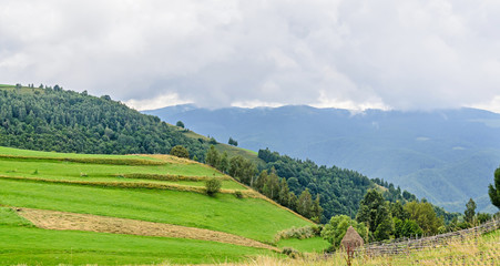 Green grass hills on the Transalpina road,  Parang Mountains