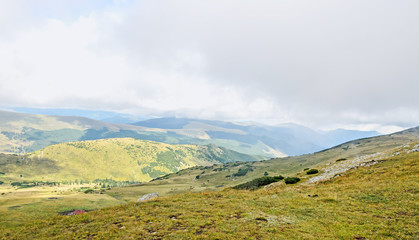 Naklejka premium Transalpina road, Parang Mountains, hills with green grass and rocks