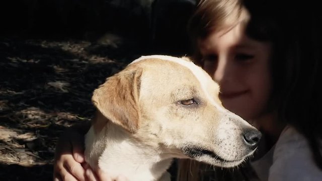A cute dog being hugged and caressed by a pretty little girl. Close-up shot.
