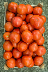 Fototapeta na wymiar Tomato