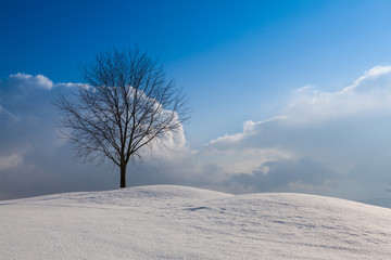 Fototapeta na wymiar Winter landscape under blue sky