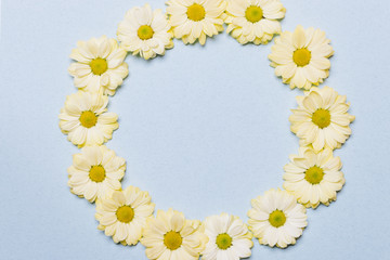 Composition of yellow flowers lying in a circle shape on the blu