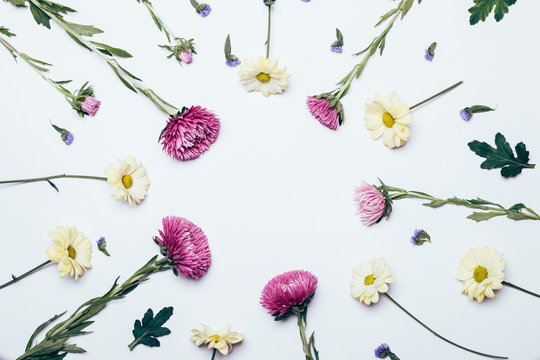 Yellow, Purple And Blue Flowers On A White Background