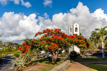 Flamboyant
Flamboyant &agrave; l'&icirc;le de la R&eacute;union