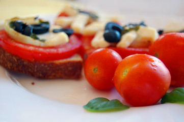 Bruschetta with tomatoes, black olives, goat cheese, herbs and oil on toasted bread