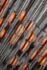 Automatic transport eggs