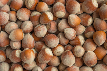 Stack of hazelnuts