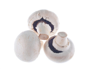button mushrooms