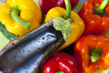 Eggplant laying over paprika