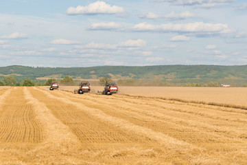 Obraz premium Combine Harvesters working on yellow agricultural field under a blue sky with clouds