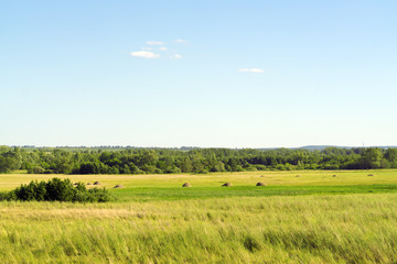 Fototapeta na wymiar Green meadow with haystacks under a blue sky