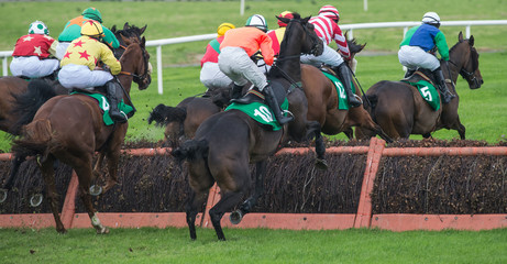 Race horses and jockeys jumping a hurdle during a race
