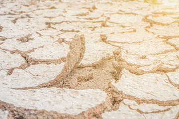 drought soil cracked with sunshine