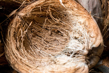 Closeup coconut spathe fiber