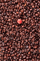 coffee beans and red ripe coffee