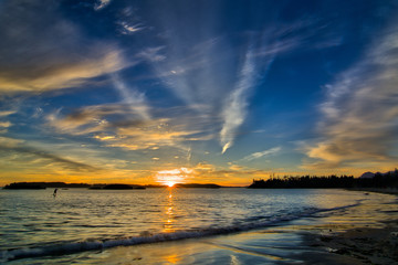 Tofino