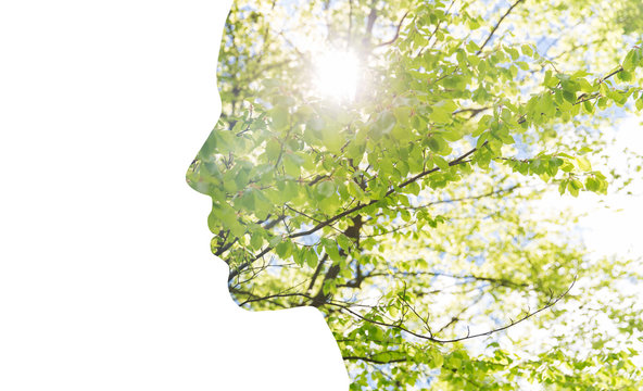 Double Exposure Woman Profile With Tree Foliage