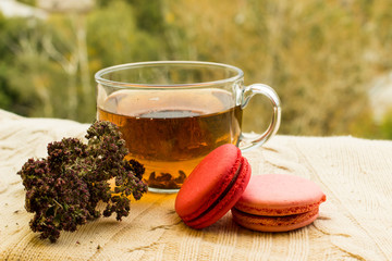 Fresh colorful macaroons with a cup of tea on warm knitted sweater.