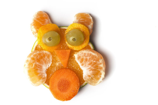 Food art creative concepts. Funny animal made of fruits and vegetables over a white background.