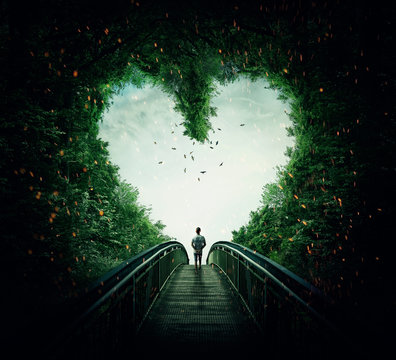 Fototapeta Boy walking on a bridge through the heart shape woods, following the light. Follow your heart concept