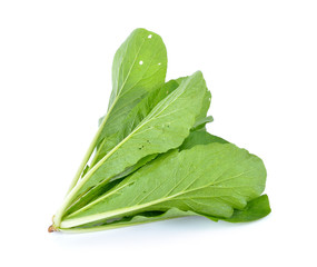 Chinese mustard green on white background (Nontoxic)