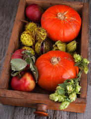 Pumpkin with chestnuts