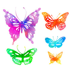 Plakat Amazing colorful background with butterflies, watercolors (vect