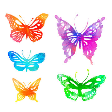Amazing colorful background with butterflies,  watercolors (vect