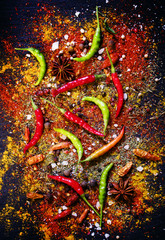 Spices and spicy chili peppers, top view
