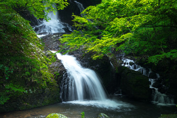 Fototapeta na wymiar 滝と新緑（愛媛県久万高原町遅越の滝）
