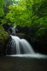 滝と新緑（愛媛県久万高原町遅越の滝）