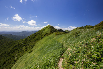 Obraz premium 東黒森（石鎚山系）