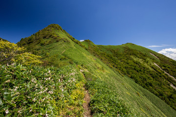 伊予富士（愛媛県石鎚山系）