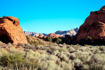 Fototapeta premium Snow Canyon State Park -Ivins -Utah. This scenic desert red rock park has numerous trails, canyons, and spectacular vistas.