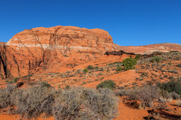 Snow Canyon State Park -Ivins -Utah. This scenic desert  red rock park has numerous trails, canyons, and spectacular vistas.
