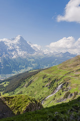 Grindelwald, Dorf, Berner Oberland, Eiger, Eigernordwand, Alpen, First, Alm, Wanderweg, Waldspitz, Wanderferien, Sommer, Schweiz