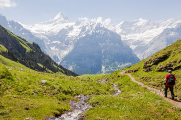 Grindelwald, Dorf, Berner Oberland, Alpen, Schweizer Berge, Schreckhorn, Grindelwaldgletscher, First, Waldspitz, Wanderweg, Sommer, Schweiz