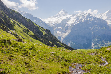 Fototapeta na wymiar Grindelwald, Dorf, Schreckhorn, Alpen, First, Waldspitz, Wanderweg, Bergbach, Berner Oberland, Sommer, Schweiz