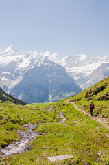Fototapeta na wymiar Grindelwald, Dorf, Berner Oberland, Alpen, Schweizer Berge, First, Waldspitz, Wanderweg, Wanderer, Sommer, Schweiz