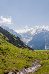 Fototapeta na wymiar Grindelwald, Dorf, Berner Oberland, Alpen, Schreckhorn, Schweizer Berge, First, Wanderweg, Waldspitz, Sommer, Schweiz