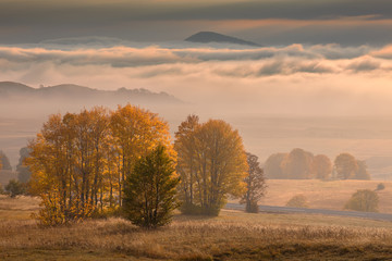 Mountain landscape in autumn at misty morning