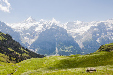 Grindelwald, Dorf, First, Waldspitz, Wanderweg, Berner Oberland, Schreckhorn, Eiger, Alpen, Grindelwaldgletscher, Wanderferien, Sommer, Schweiz