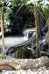 Fototapeta premium One corner of nature waterfall