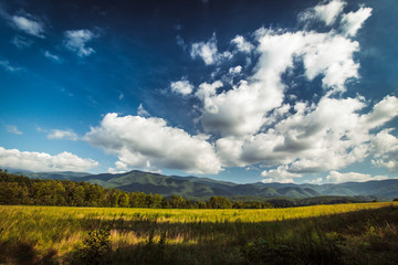 Obraz premium Curves of Cades Cove