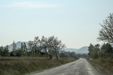 Landscape with mountains on the background in Provence, France